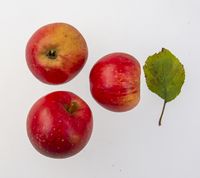 Freiherr von Berlepsch æble